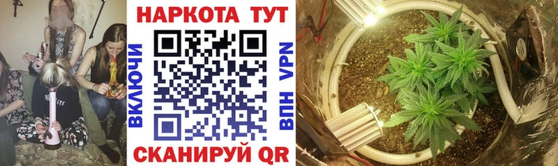 Как найти закладки Бежецк КОКАИН  Марихуана  Альфа ПВП  Гашиш  Мефедрон 
