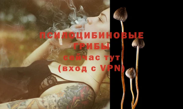 спайс Алексин