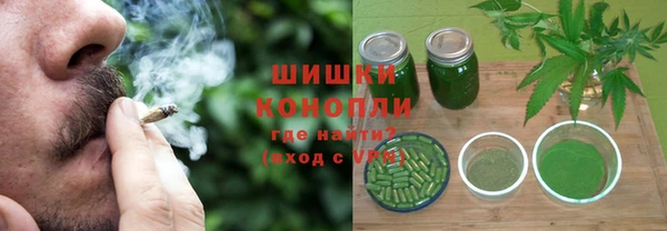 крисы Абаза