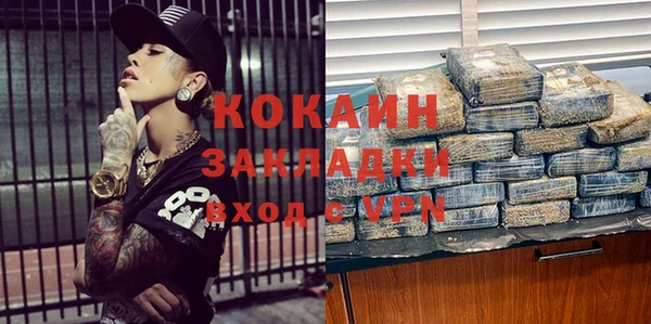 крисы Абаза