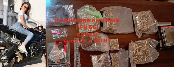 крисы Алексеевка