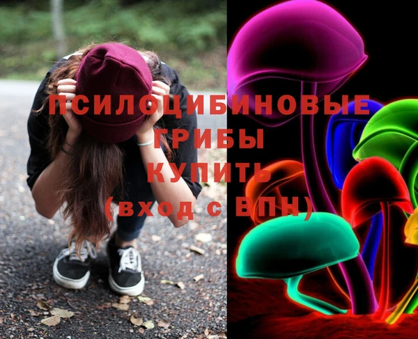 крисы Абаза
