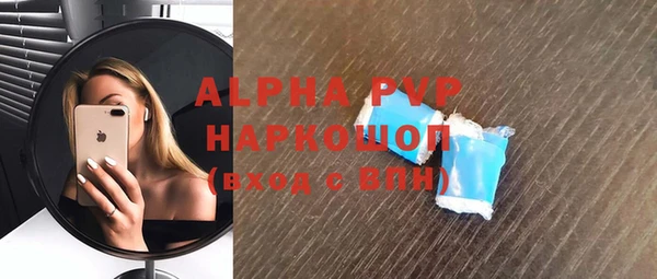 крисы Абаза