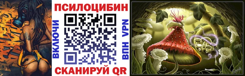 Псилоцибиновые грибы Magic Shrooms  Бежецк 